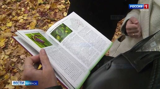 Более 300 видов: в новую Красную книгу Брянской области вошли уникальные лишайники и грибы