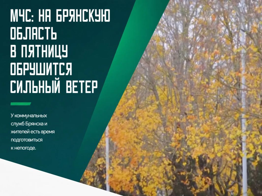 По прогнозам синоптиков, непогода на территории Брянской области разыграется в пятницу, 9 октября
