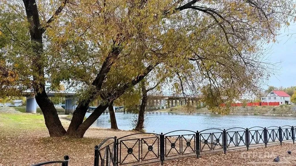 Завтра, 10 октября, в Брянской области будет облачно с прояснениями