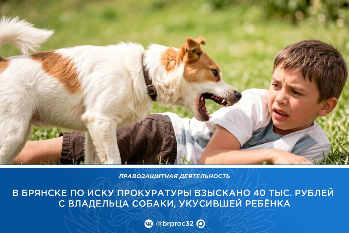 Прокуратура Володарского района г. Брянска провела проверку по обращению местной жительницы о нападении собаки на её 10-летнего сына