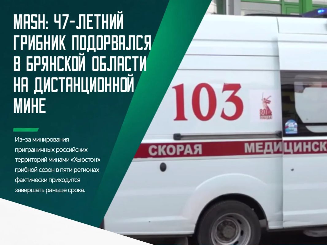 В районе Жуковки в Брянской области жертвой такой мины стал 47-летний местный житель