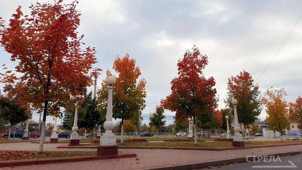 В Брянской области 11 октября потеплеет до +21°C