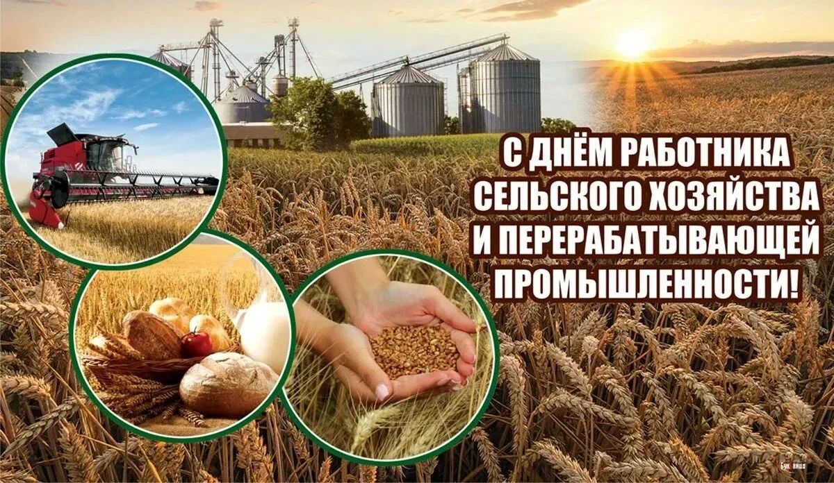 Уважаемые труженики села, работники агропромышленного комплекса, ветераны отрасли!
