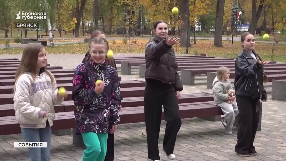 Обычный теннисный мяч — универсальный снаряд для зарядки