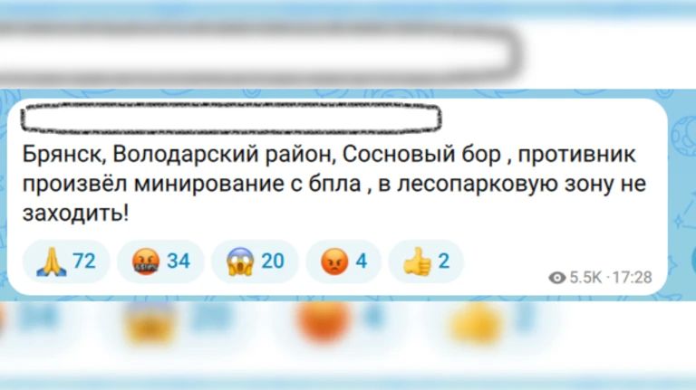 Фейками о минировании Соснового Бора с дрона ВСУ напугали брянцев