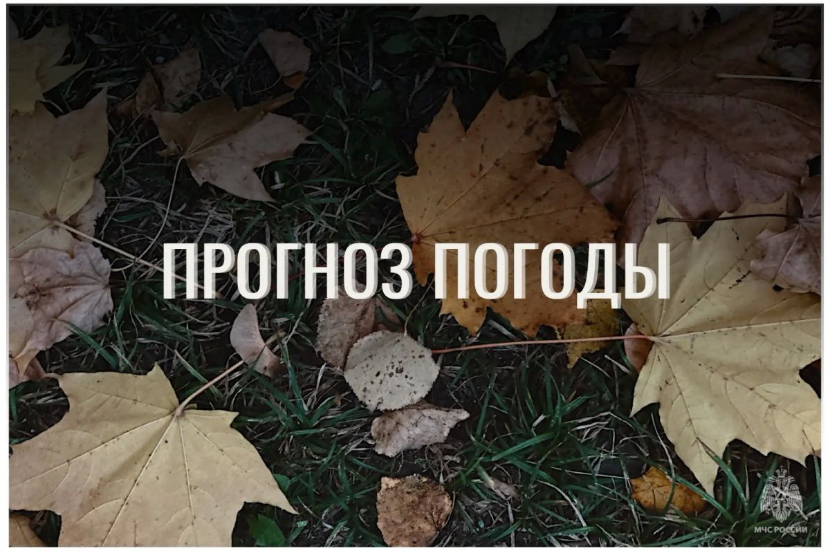 По данным ЦГМС, 14 октября в регионе прогнозируется облачно с прояснениями