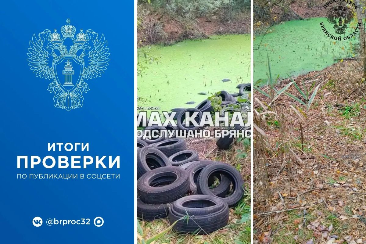 Брянская природоохранная прокуратура отреагировала на публикацию в социальной сети об образовании в лесном массиве свалки шин