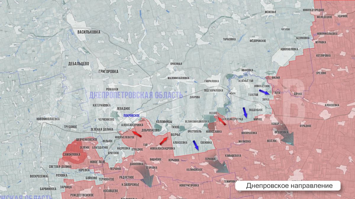 Олег Царёв: Фронтовая сводка 15 октября
