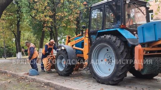 Тонны "золота" на свалку: как Брянск очищают от главного осеннего мусора