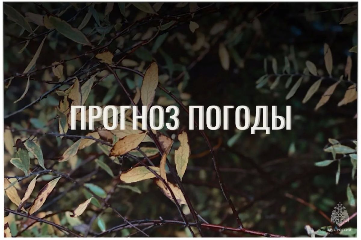 По данным ЦГМС, 17 октября в регионе прогнозируется облачно с прояснениями