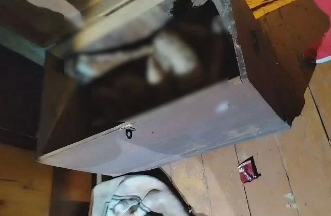 Брянскими полицейскими задержаны подозреваемые в убийстве