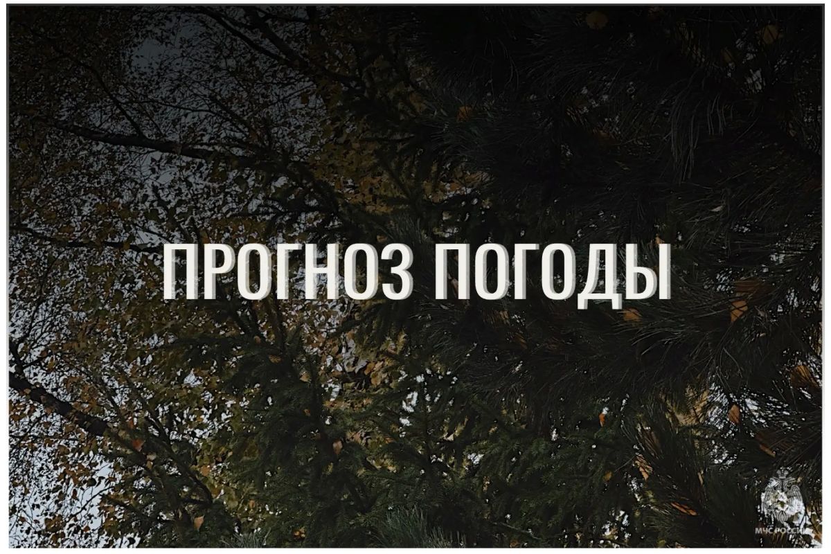 По данным ЦГМС, 20 октября в регионе прогнозируется облачно с прояснениями