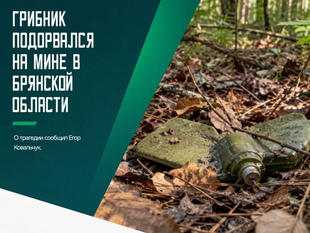 В лесополосе вблизи села Стайки Навлинского района грибник был ранен из-за подрыва на мине