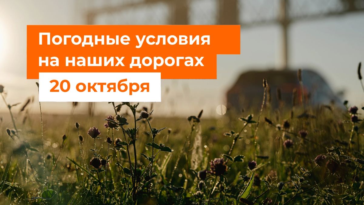 М-1 «Беларусь». – В ближайшие сутки осадков не ожидается