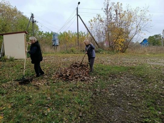В период с 12 по 19 октября 2026 года по всей стране прошла ежегодная Всероссийская добровольческая акция «Осенняя неделя добра» В период с 12 по 19 октября 2026 года по всей стране прошла ежегодная Всероссийская добровольческая акция «Осенняя неделя добра»