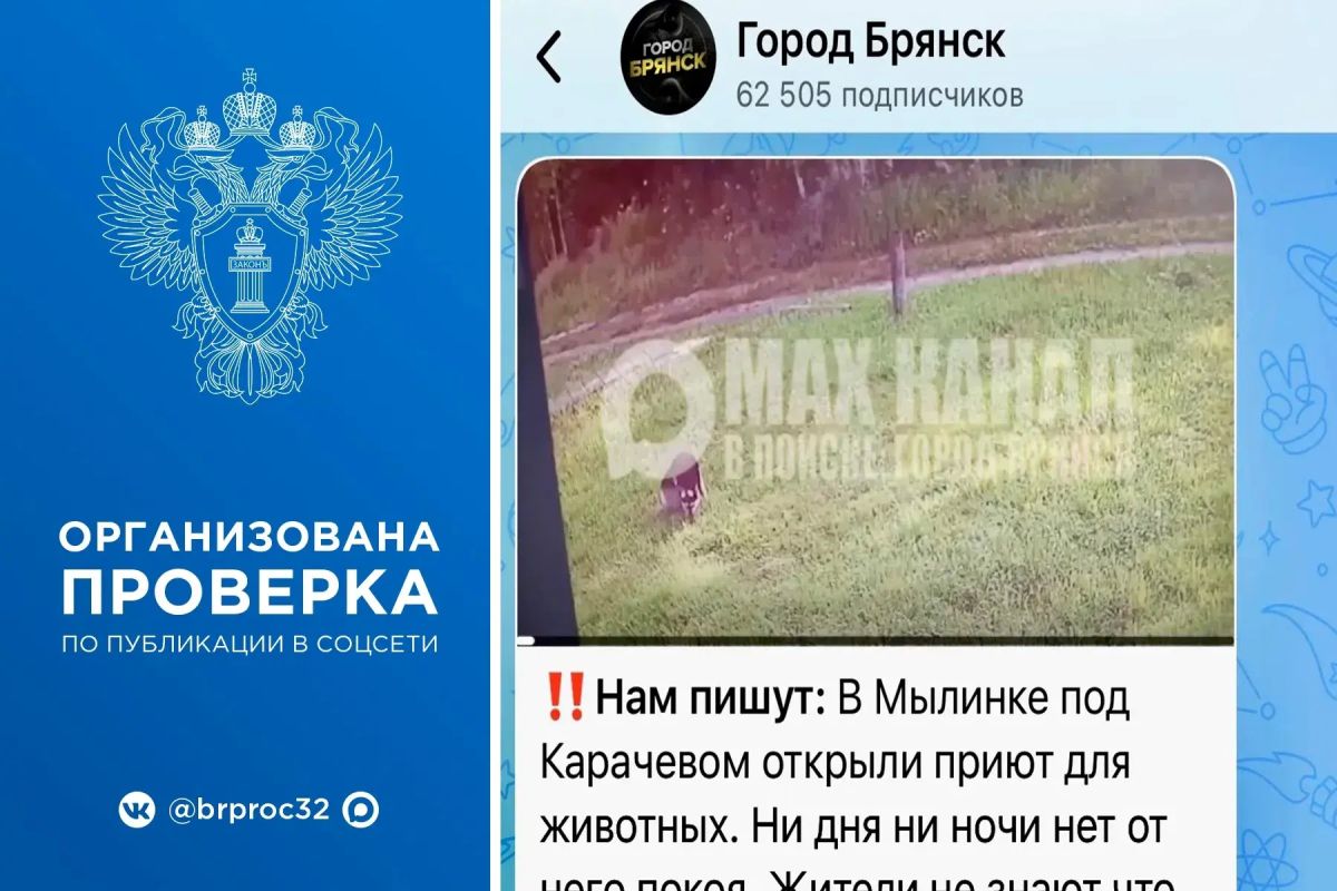 Прокуратура Карачевского района организовала проверку после публикации в социальных сетях информации о нарушениях при содержании животных в открытом в деревне Мылинка приюте