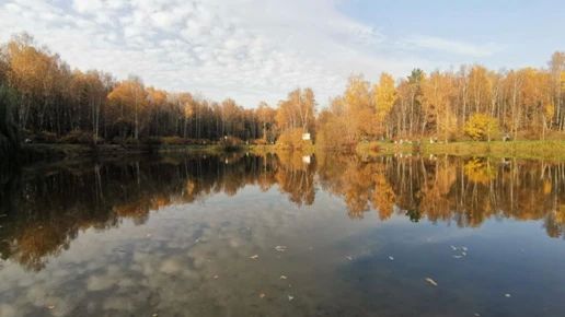 В Брянской области 21 октября пройдут локальные дожди при +17C