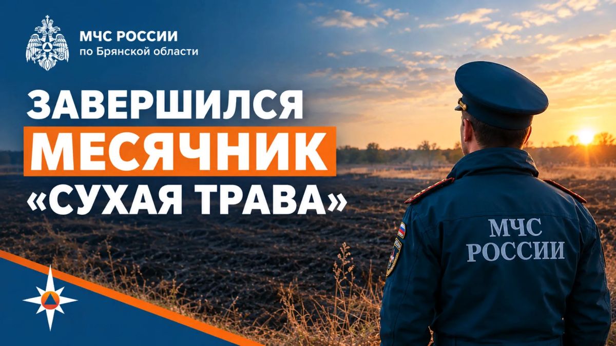 На территории Брянской области завершены мероприятия профилактического месячника «Сухая трава»