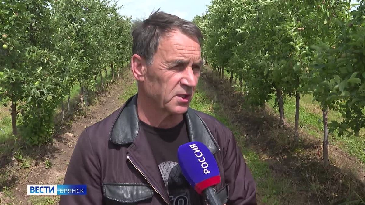 "Специальный репортаж". Брянские предприятия