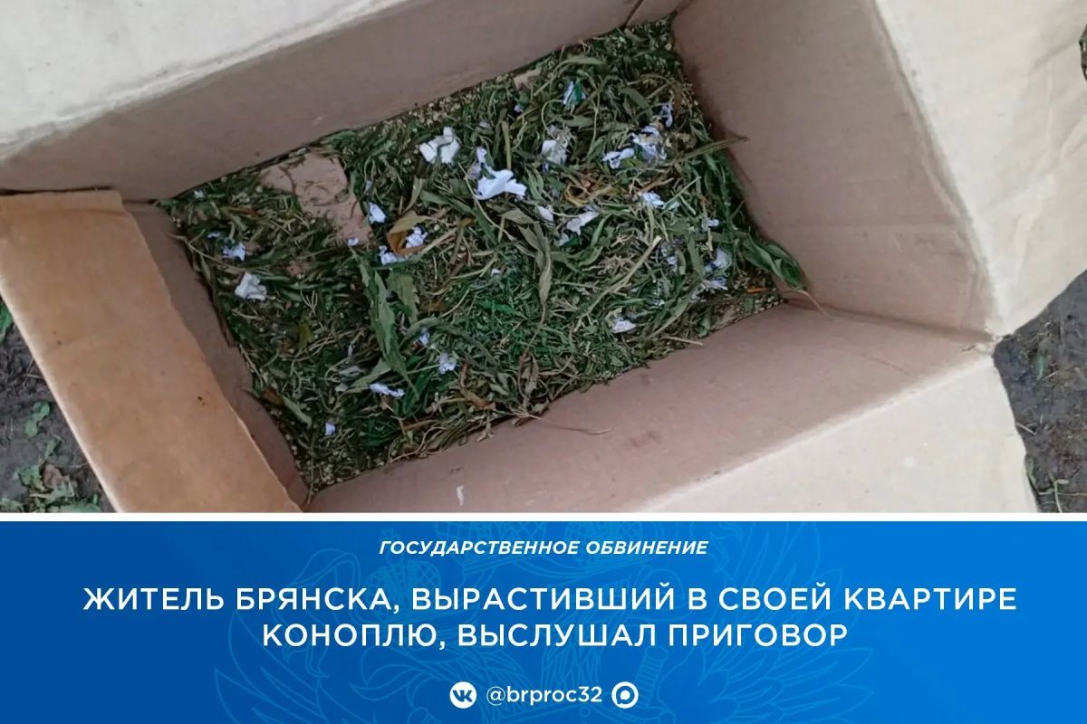 Прокуратура Бежицкого района г. Брянска поддержала государственное обвинение по уголовному делу в отношении 41-летнего местного жителя