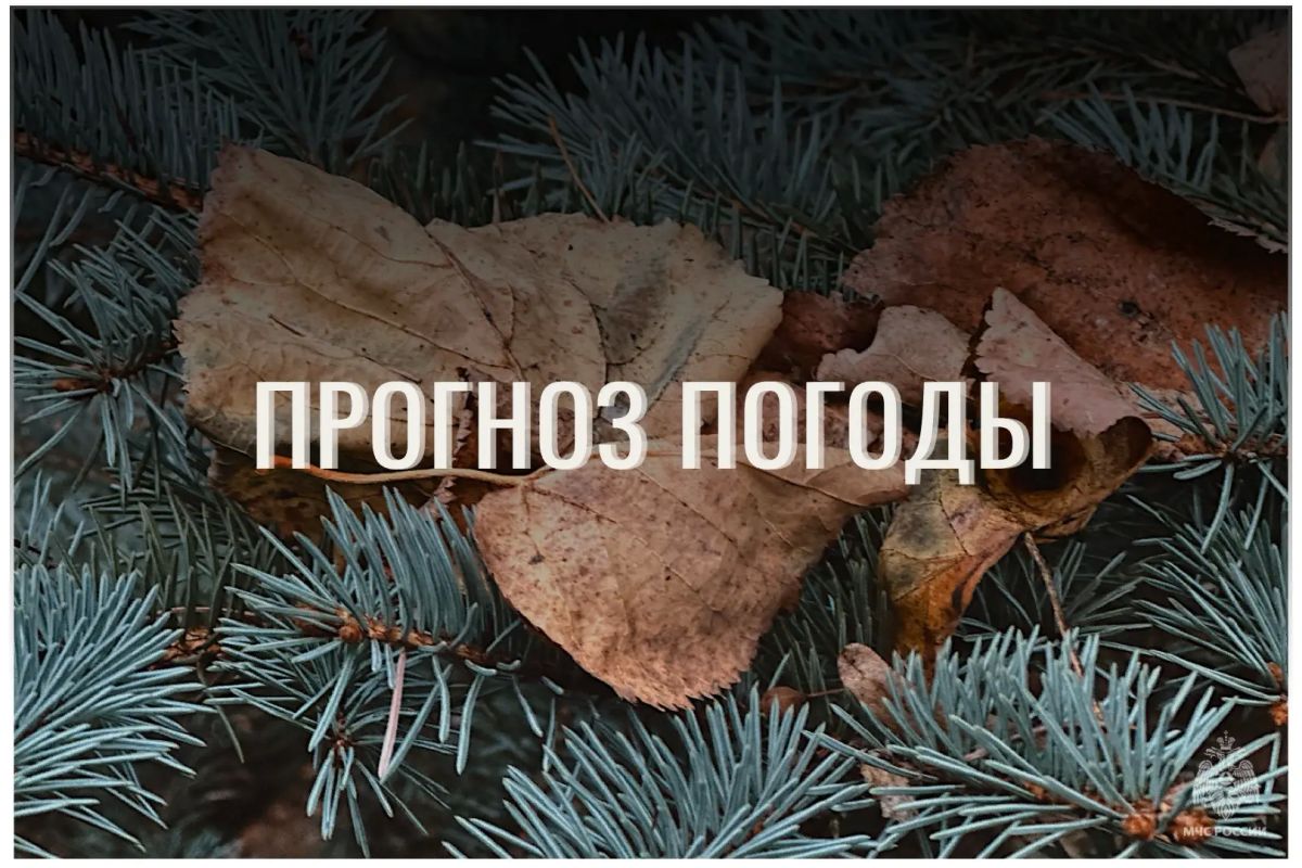 По данным ЦГМС, 24 октября в регионе прогнозируется переменная облачность