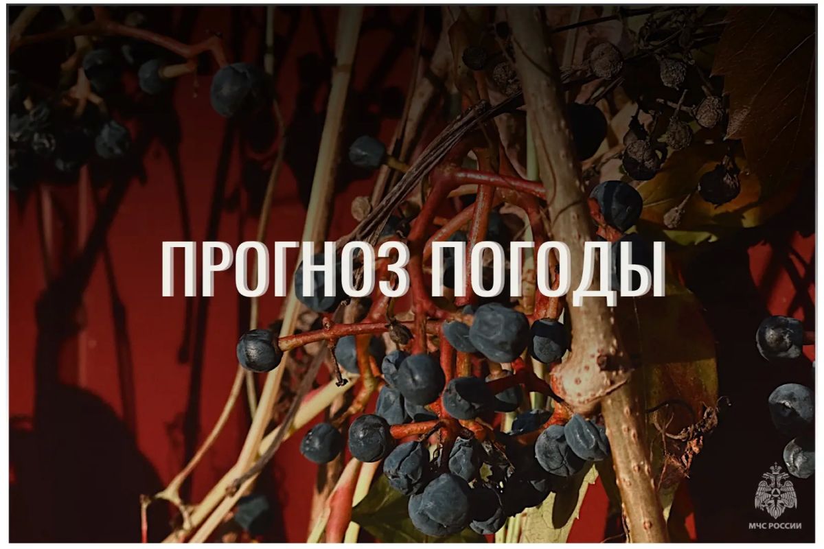 По данным ЦГМС, 26 октября в регионе прогнозируется облачно с прояснениями