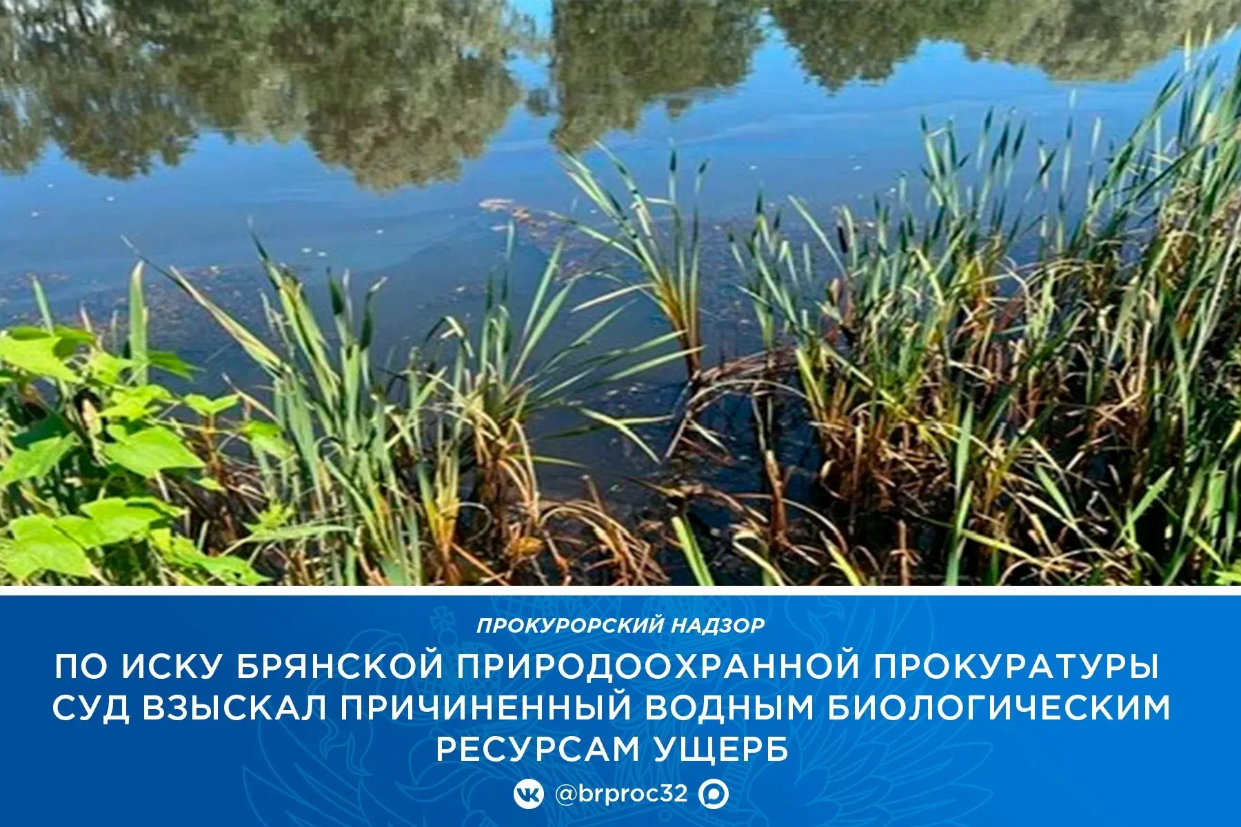 Брянская природоохранная прокуратура провела проверку исполнения законодательства об охране вод и водных биологических ресурсов