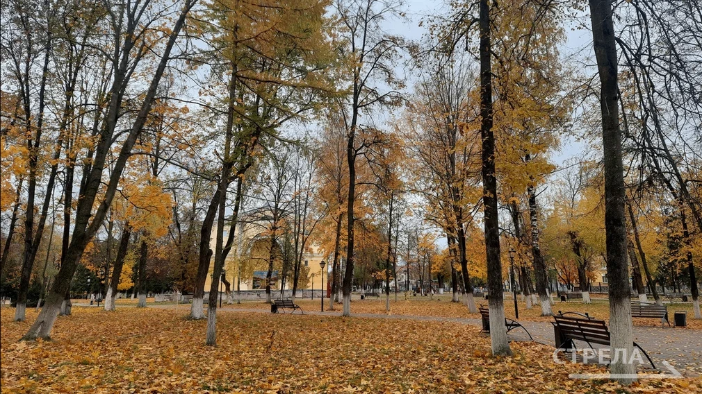 Завтра, 1 ноября, в Брянской области будет облачно