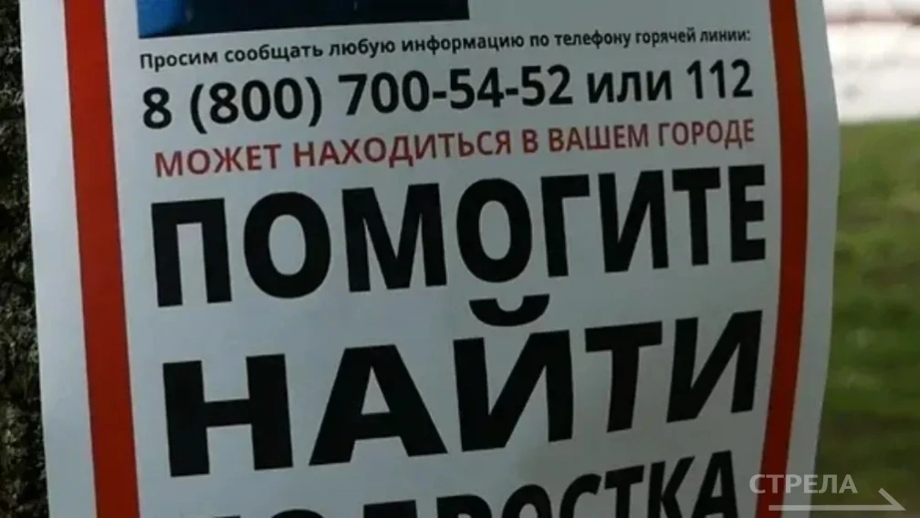 Более 2700 пропавших жителей Брянщины нашли живыми