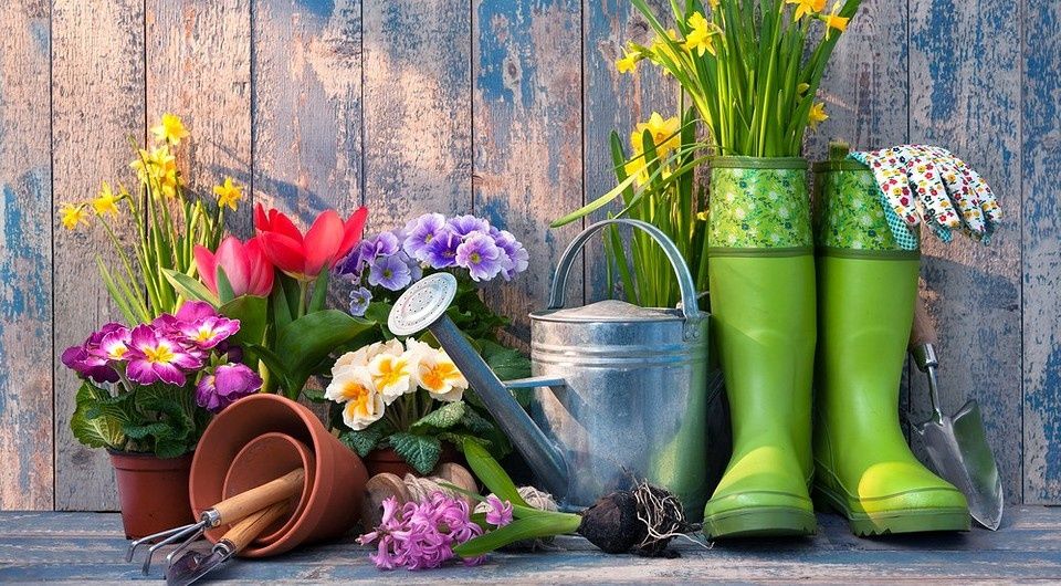 Новые правила для дачников: важные изменения, которые нельзя игнорировать
