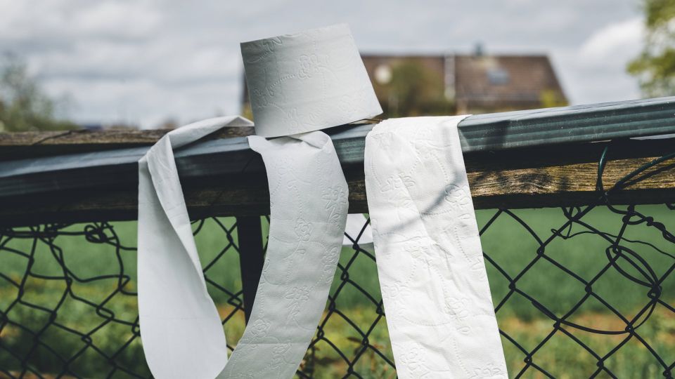 Туалетная бумага на даче больше не отсыреет: поставьте ее вот куда