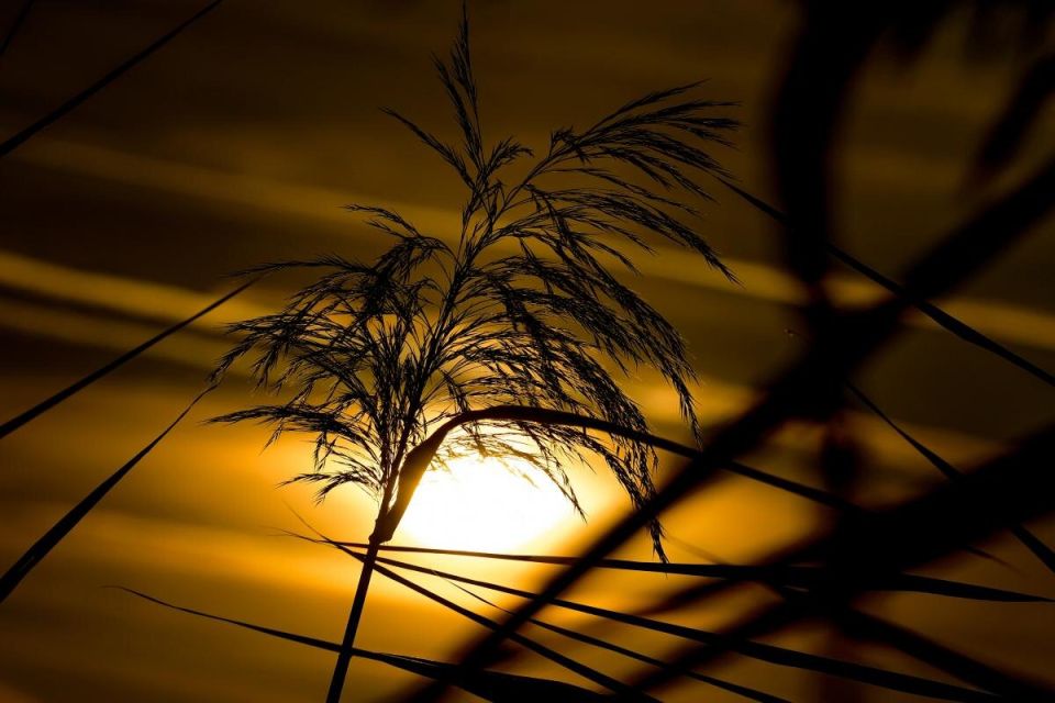 Лунный календарь октября 2025: когда стоит действовать и когда задуматься