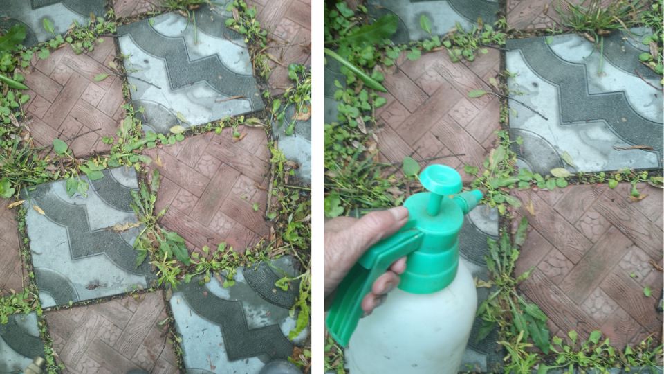 Как создать эффективный раствор для борьбы с сорняками: простые рецепты в помощь садоводу