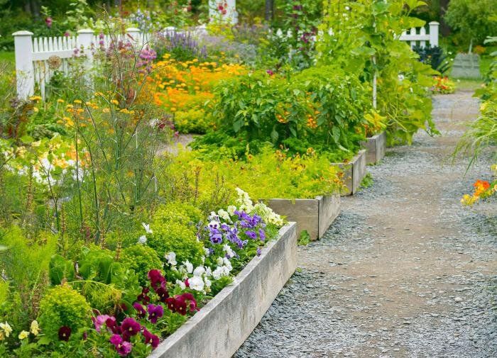 Экономия для садоводов: умные подходы к заботе о растения