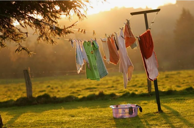 Сушильная машина против солнечной сушки: что выбрать для эффективной стирки?