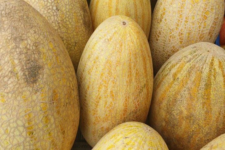 Ошибки при выборе дыни: почему цвет пятна важнее веса и как избежать незрелого плода