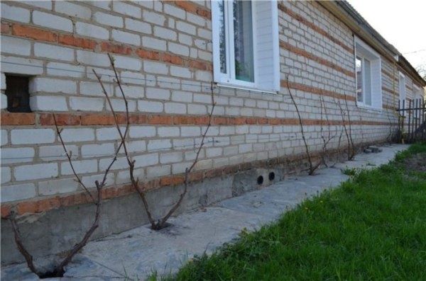 �������� � ��������: ��� ������� ������ ���� � ���������� ��� ����