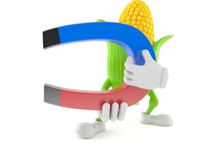 ��� ������� �������� ��������� �����: ����� ��������� �����������