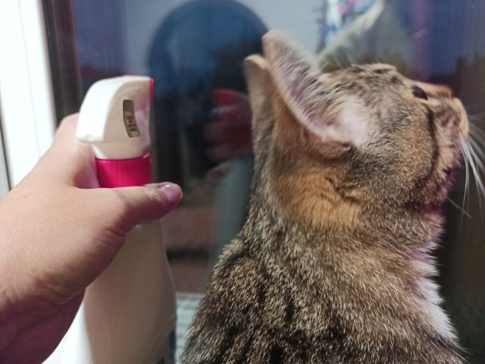 Секреты чистоты окон: как добиться идеального блеска