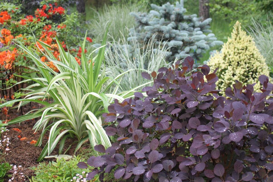 Как создать идеальный сад: советы по планированию и реализации