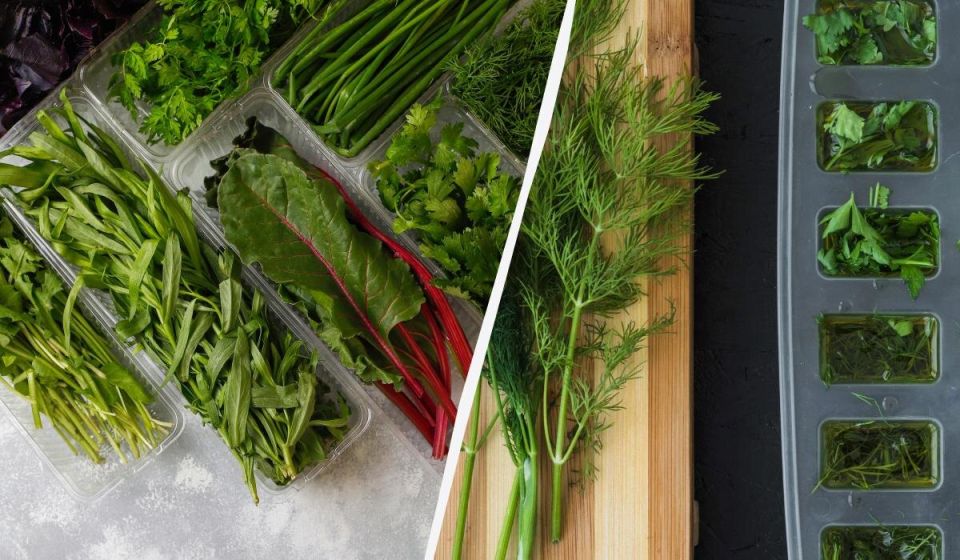 Как продлить жизнь петрушке и укропу: уловки на любой вкус