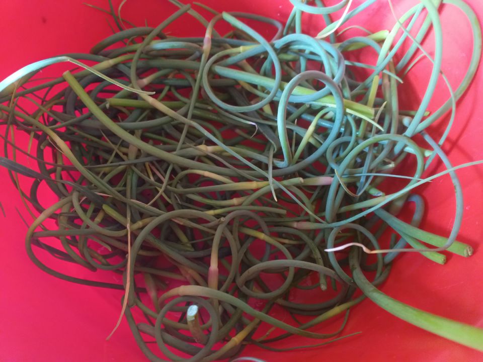 ��������� �������: �������� ���������, ������� ������ �����������