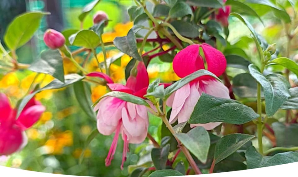 ������: ������������ ������������ � ������� ����� �� ��������� �������