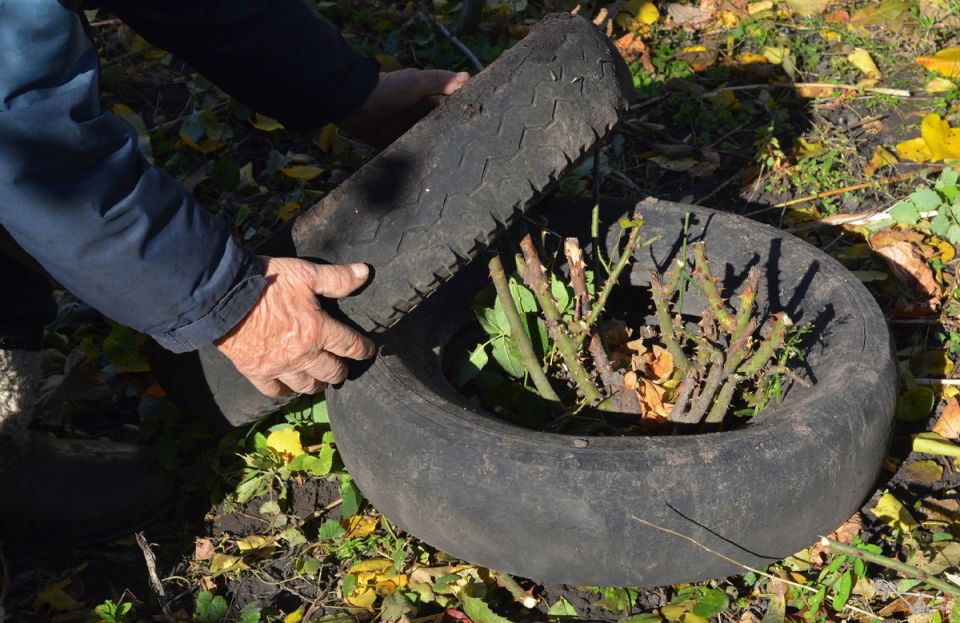 ��� ��������� ���� �����: �������� ���������������� ������