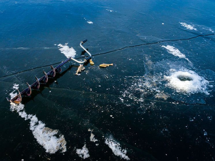 ��������� ������ �� �������������: ������ �� �������� ��������