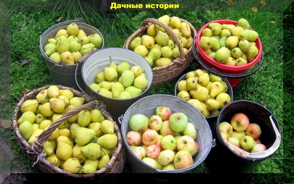 ��� �������� �������� ���������������� ������: ������ ������ ��� ���������