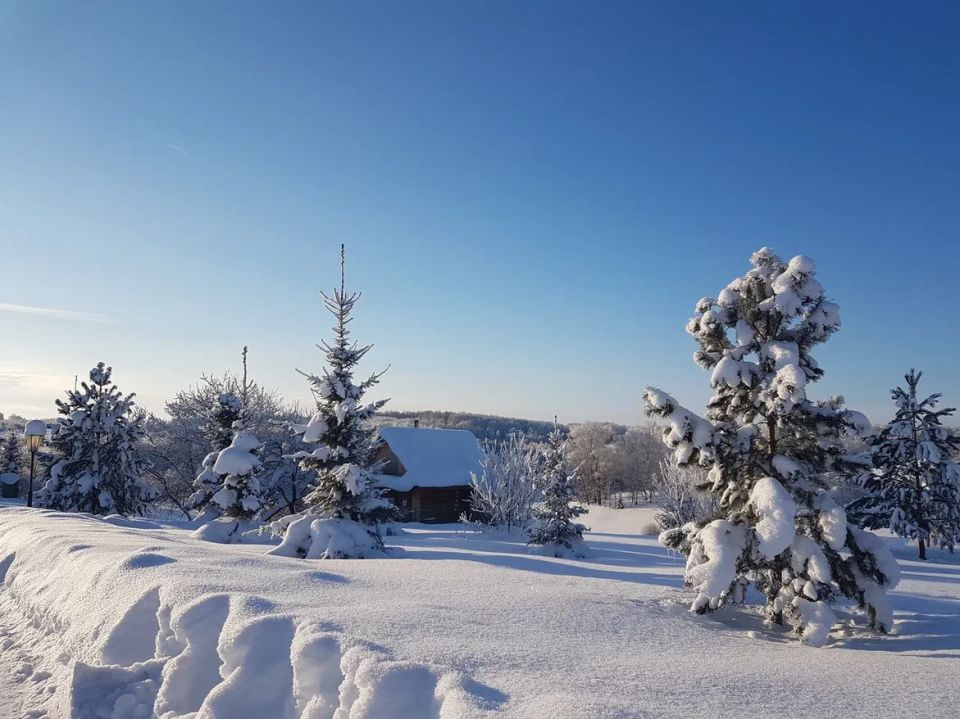 Аномальная зима: как она ставит под угрозу здоровье садоводов и зелени