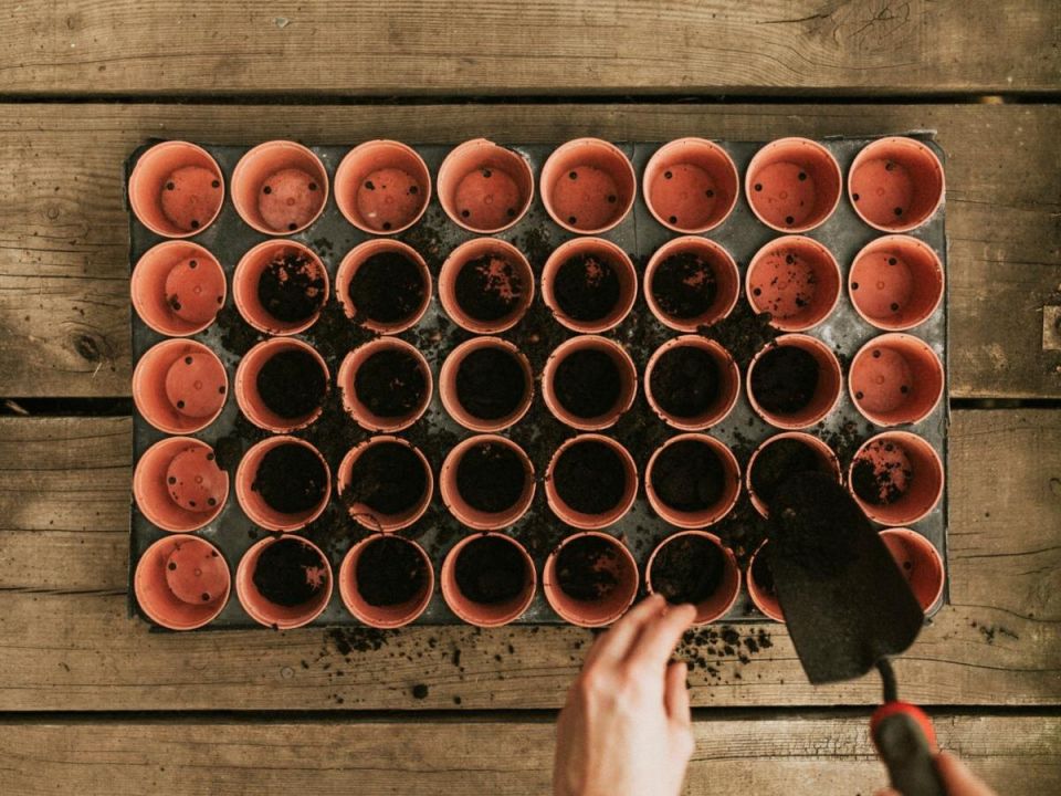 ������������ �����: �������� ������ ��� ��������� �����������