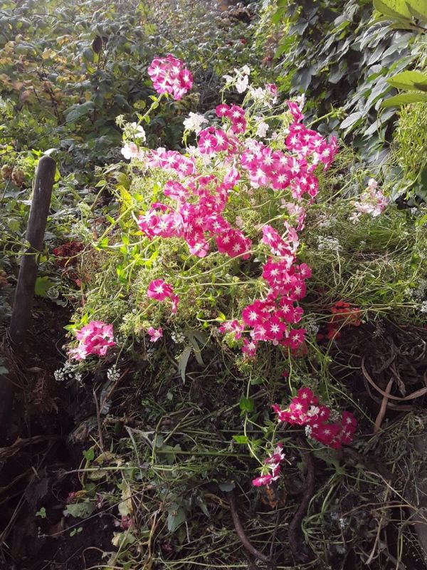 ���������� ����: ��� ��������� ������� � ������� ���� ������� ����� �������