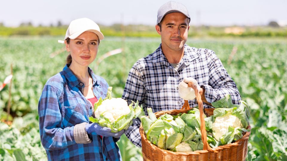 ��� ����� ������� ������� ������� ���� � ��������� ���������: ������� ������ ���������